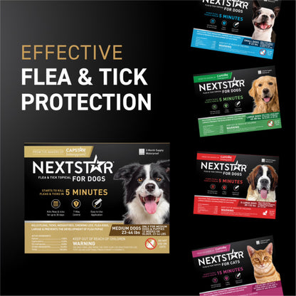 (2 Pack)  Flea & Tick Topical Prevention for Dogs 23-44 Lbs, 3-Month Supply