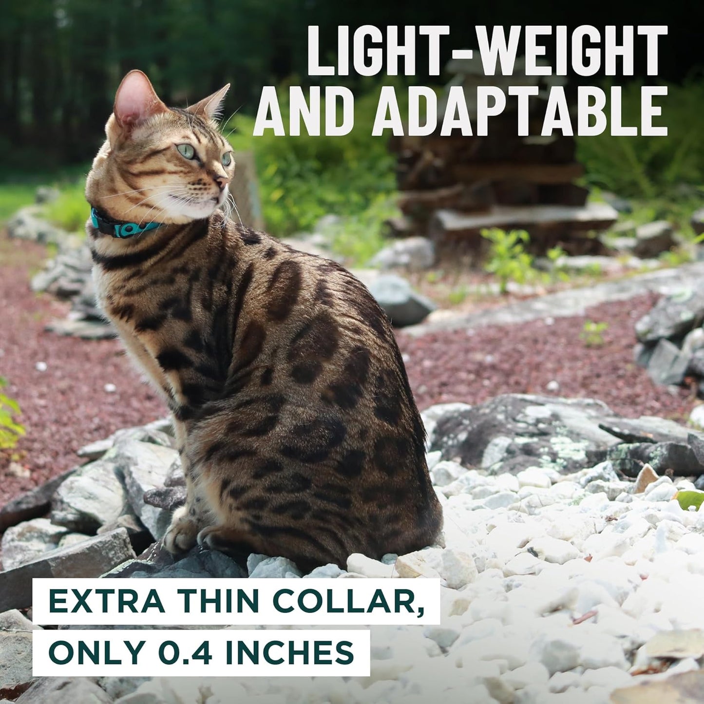 Blue Cat Collar Breakaway with Soft Padding for Medium to Large Cats - Durable Heavy Duty Tactical Fabric, Comfortable, Quick Release Breakaway Cat Collars, No Bell Collar (Blue, Adult)