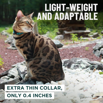 Blue Cat Collar Breakaway with Soft Padding for Medium to Large Cats - Durable Heavy Duty Tactical Fabric, Comfortable, Quick Release Breakaway Cat Collars, No Bell Collar (Blue, Adult)