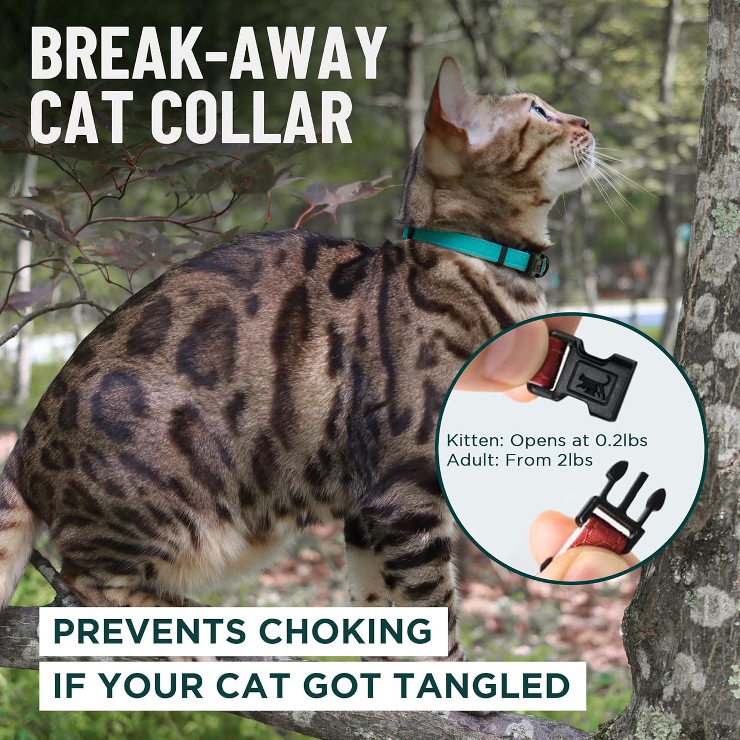 Blue Cat Collar Breakaway with Soft Padding for Medium to Large Cats - Durable Heavy Duty Tactical Fabric, Comfortable, Quick Release Breakaway Cat Collars, No Bell Collar (Blue, Adult)