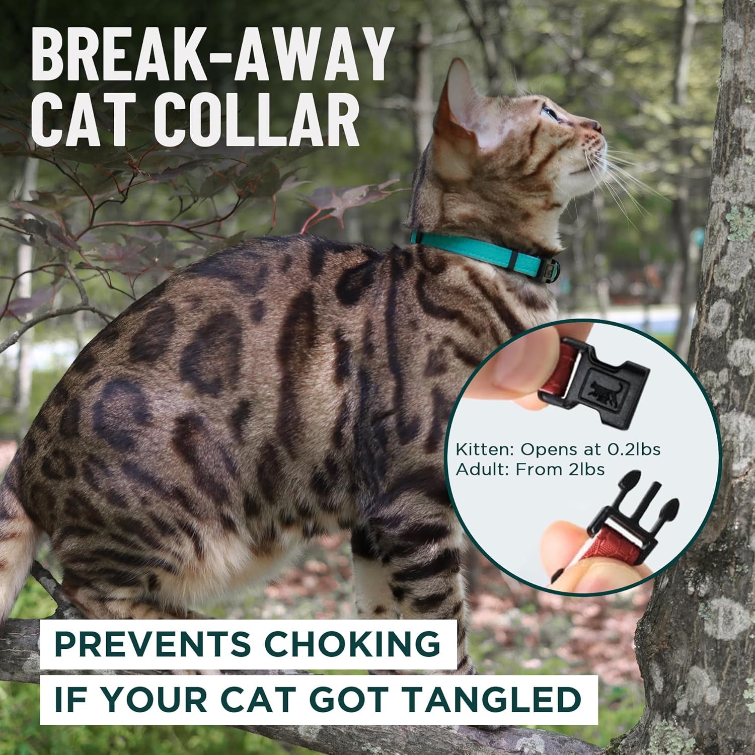 Blue Cat Collar Breakaway with Soft Padding for Medium to Large Cats - Durable Heavy Duty Tactical Fabric, Comfortable, Quick Release Breakaway Cat Collars, No Bell Collar (Blue, Adult)