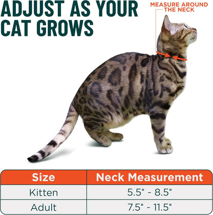 Blue Cat Collar Breakaway with Soft Padding for Medium to Large Cats - Durable Heavy Duty Tactical Fabric, Comfortable, Quick Release Breakaway Cat Collars, No Bell Collar (Blue, Adult)