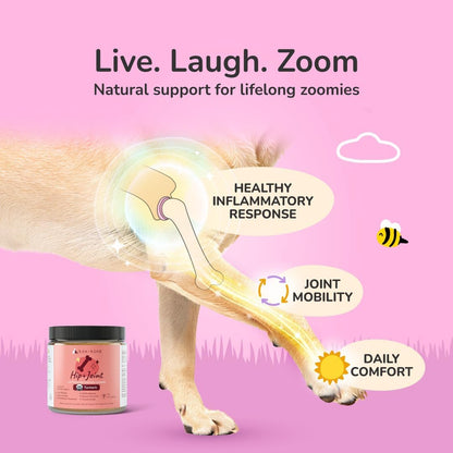 Kin+Kind Organic Turmeric Hip and Joint Supplement for Dogs and Cats – Supports Healthy Joint Mobility and Inflammatory Response – Vet Formulated – 4 Oz