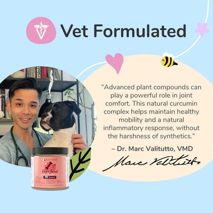 Kin+Kind Organic Turmeric Hip and Joint Supplement for Dogs and Cats – Supports Healthy Joint Mobility and Inflammatory Response – Vet Formulated – 4 Oz
