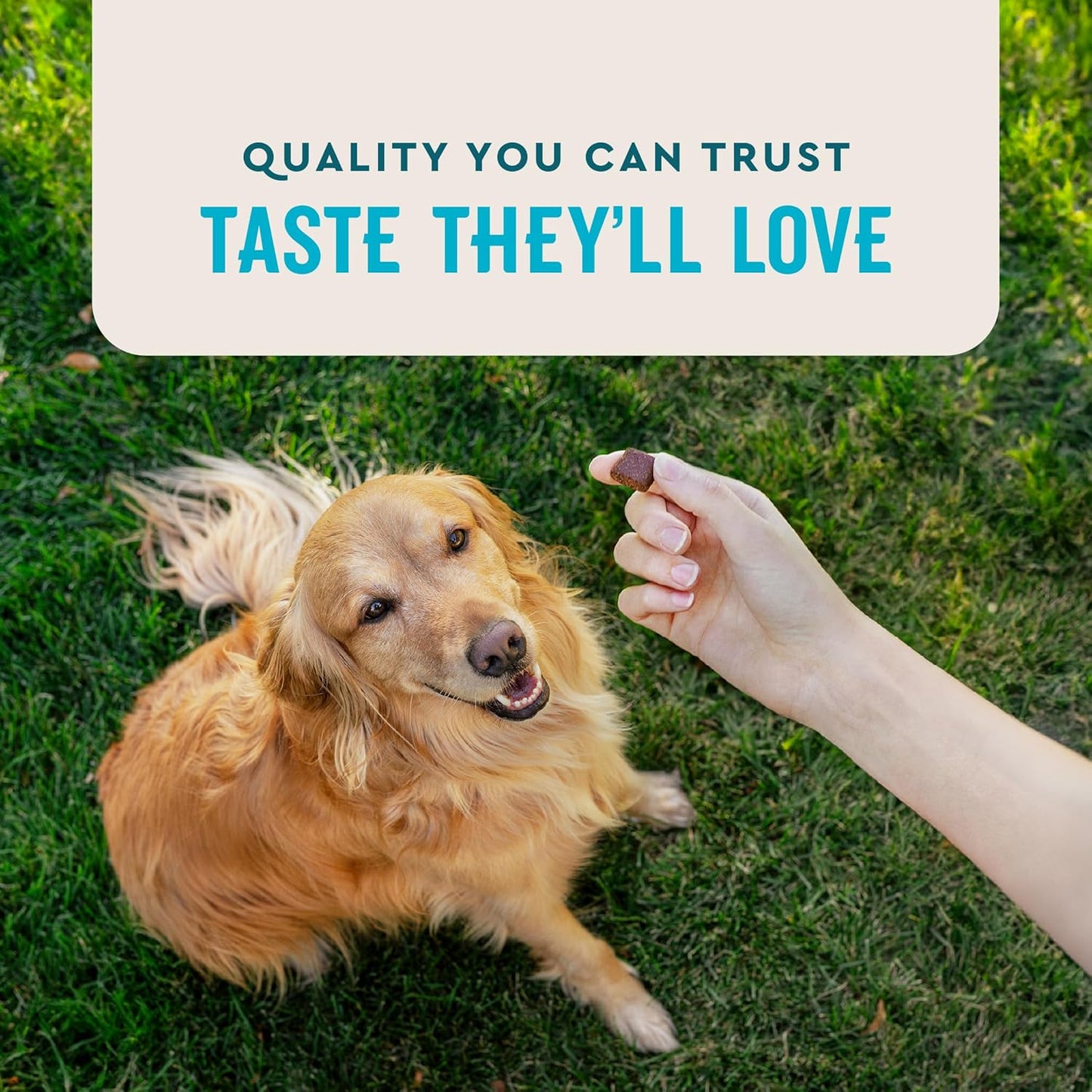 Vetiq Maximum Strength Hip & Joint Supplement for Dogs 90 Soft Chews with Glucosamine MSM and Krill Oil Chicken Flavored Joint Support for Large and Small Breed Senior Dogs
