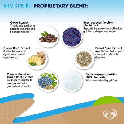 Natural Intestinal Defense for Dogs & Cats – Herbal Cleanse with Black Walnut & Probiotic – Promotes Healthy Gut & Flora Balance – Advanced Broad Spectrum Formula – Made in USA