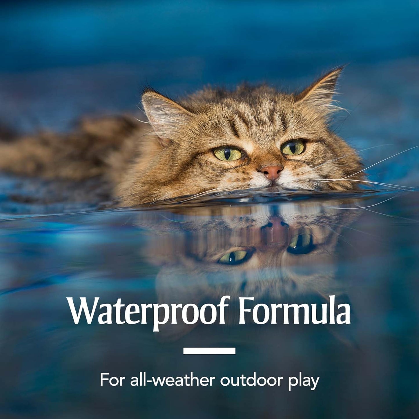 Petarmor for Cats, Flea & Tick Treatment for Cats (Over 1.5 Pounds), Includes 3 Month Supply of Topical Flea Treatments