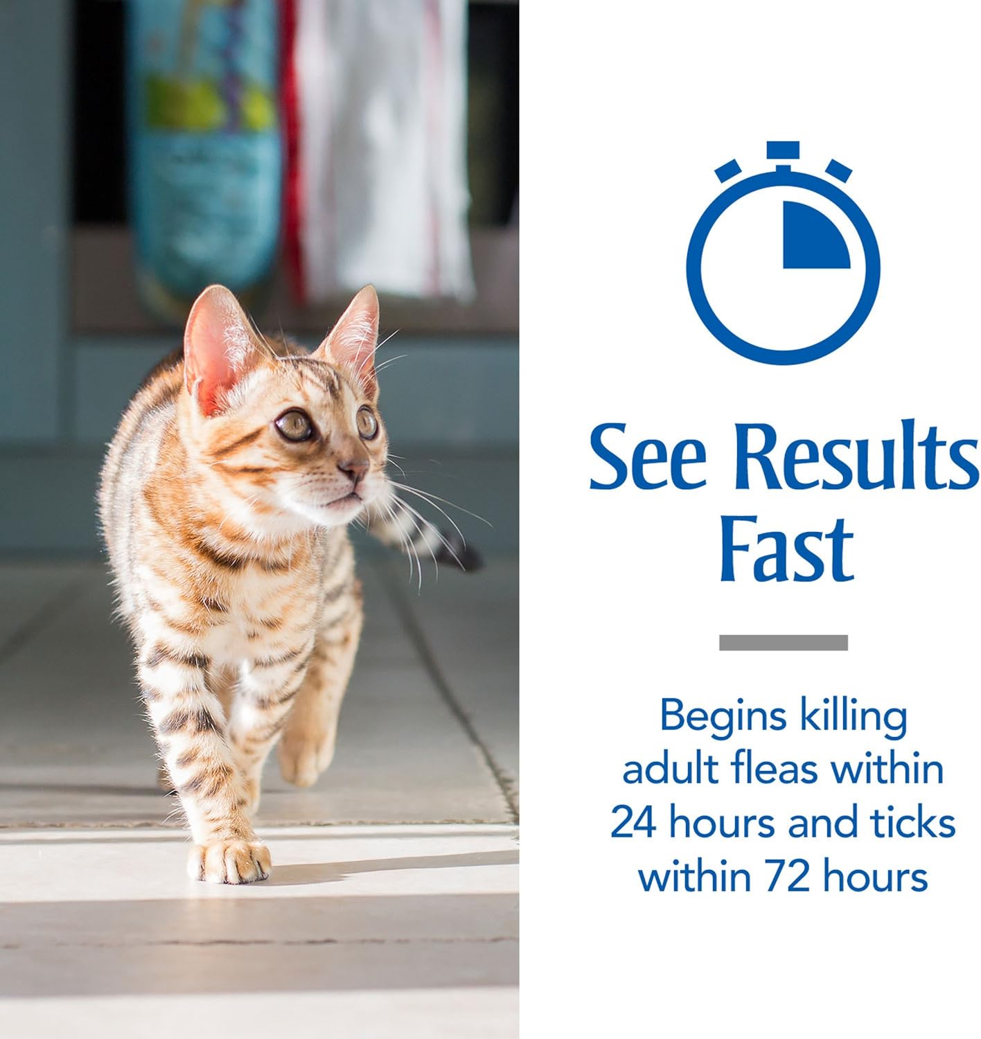 Petarmor for Cats, Flea & Tick Treatment for Cats (Over 1.5 Pounds), Includes 3 Month Supply of Topical Flea Treatments