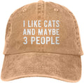 I Like Cats & Maybe 3 People Baseball Cap