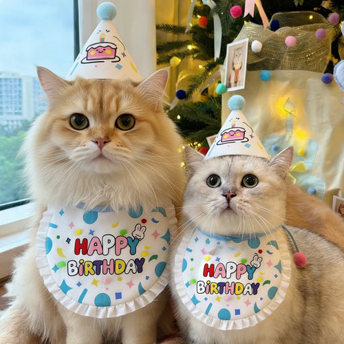 Cat Birthday Hat & Bib Set | Party Costume for Cats