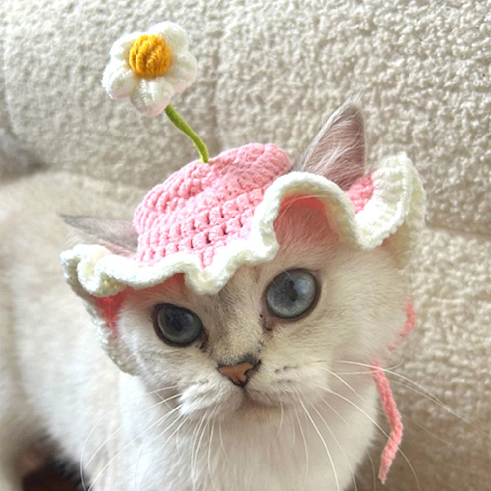 Cute Knitted Cat Hat | Crochet Pet Headwear