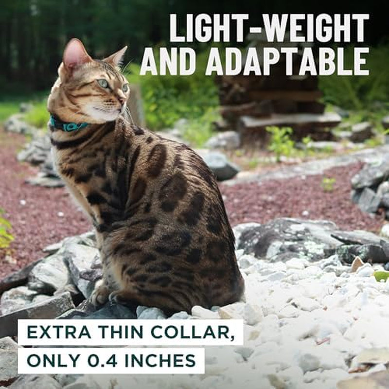 Outdoorbengal Red Cat Collar Breakaway with Soft Padding for Medium to Large Cats - Durable Heavy Duty Tactical Fabric, Comfortable, Quick Release Breakaway Cat Collars, No Bell Collar (Red, Adult)