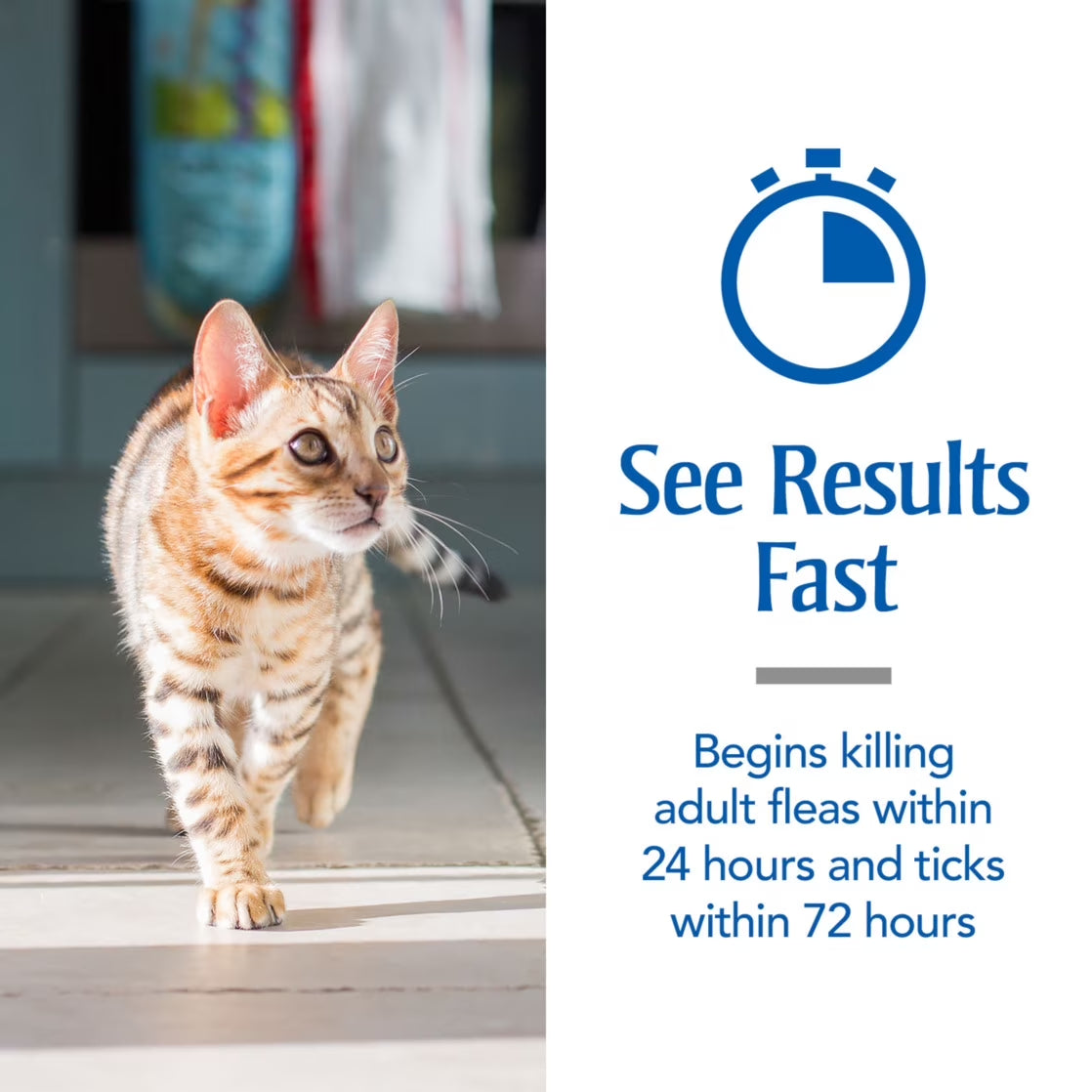Flea & Tick Treatment for Cats over 1.5 Lbs, 3 Monthly Applications